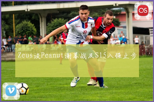 Zeus谈Peanut谢幕战及S15八强止步